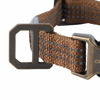 Picture of Carhartt Dog Collar Brown/Brushed Brass, Medium