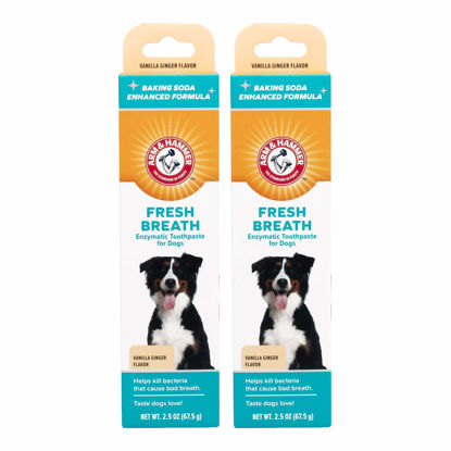 Picture of Arm & Hammer for Pets Fresh Breath Enzymatic Toothpaste for Dogs, Vanilla Ginger Flavor | Dog Toothpaste for All Dogs in a Flavor Dogs will Love | 2.5 Ounces - 2 Pack