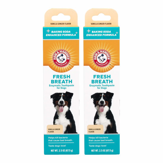 Picture of Arm & Hammer for Pets Fresh Breath Enzymatic Toothpaste for Dogs, Vanilla Ginger Flavor | Dog Toothpaste for All Dogs in a Flavor Dogs will Love | 2.5 Ounces - 2 Pack