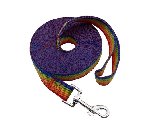 Picture of Nylon Training Dog Leash for Small Medium Large Dogs, 15ft 20ft 30ft 50ft Long Leash Dog/Puppy Lead for Obedience Recall Training, Camping (50ft, Rainbow)