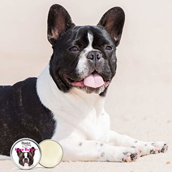 Picture of The Blissful Dog Pied French Bulldog Nose Butter - Dog Nose Butter, 2 Ounce