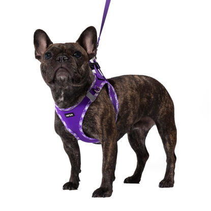 Picture of AMTOR Dog Harness with Leash Set,No Pull Adjustable Reflective Step-in Puppy Harness with Padded Vest for Extra-Small/Small Medium Large Dogs and Cats(Purple,XS)