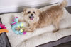 Picture of goDog Dinos Frills Squeaky Plush Dog Toy, Chew Guard Technology - Teal, Small