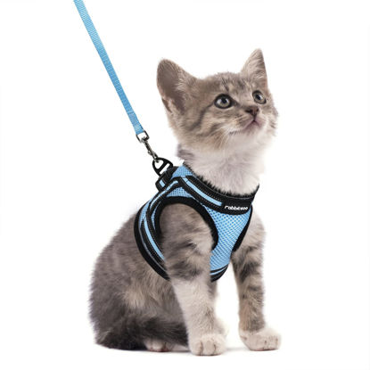 Picture of rabbitgoo Cat Harness and Leash Set for Walking Escape Proof, Adjustable Soft Kittens Vest with Reflective Strip for Cats, Comfortable Outdoor Vest, Light Blue, S