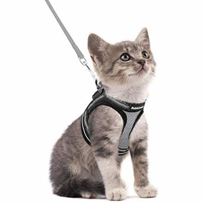 Picture of rabbitgoo Cat Harness and Leash Set for Walking Escape Proof, Adjustable Soft Kittens Vest with Reflective Strip for Cats, Comfortable Outdoor Vest, Grey, S