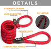 Picture of Fida Durable Slip Lead Dog Leash, 6 FT x 3/8" Heavy Duty Dog Loop Leash, Comfortable Strong Rope Slip Leash for Small Dogs and Puppies, No Pull Pet Training Leash with Highly Reflective (3/8", Red)