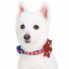 Picture of Blueberry Pet Christmas Snowflakes Designer Adjustable Dog Collar with Blingy Décor, Large, Neck 18"-26"