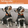 Picture of ARING PET Fall Dog Collar-Cute Orange Leaves Dog Collar for Small Dogs, Cotton Lightweight Dog Collars with Quick Release Buckle for Small Medium Large Dogs