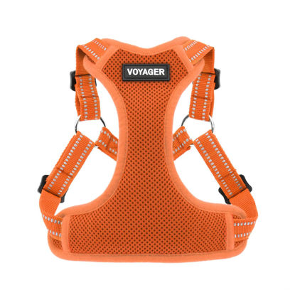 Picture of Best Pet Supplies Voyager Adjustable Dog Harness with Reflective Stripes for Walking, Jogging, Heavy-Duty Full Body No Pull Vest with Leash D-Ring, Breathable All-Weather - Harness (Orange), XS