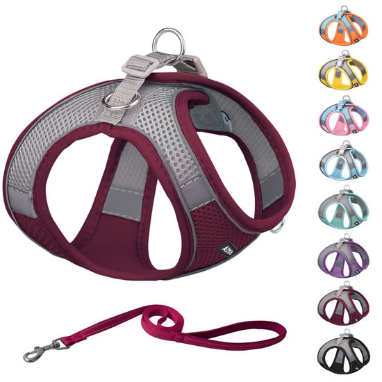 Picture of AIITLE Soft Mesh Dog Harness and Leash Set for Walking - Summer Step in Vest Harness,Reflective Bands, Adjustable No Pull Pet Supplies, for Small Dogs and House Cats Burgundy XS