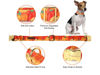 Picture of Unique style paws Dog Collar Metal Buckle Collar Gift for Small Medium Large Boys Girls Dogs