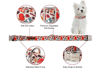 Picture of Unique style paws Dog Collar Metal Buckle Collar Gift for Small Medium Large Boys Girls Dogs