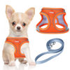 Picture of YIMEIS Dog Harness and Leash Set, No Pull Soft Mesh Pet Harness, Reflective Adjustable Puppy Vest for Small Medium Large Dogs, Cats (Orangeblue, X-Small (Pack of 1)