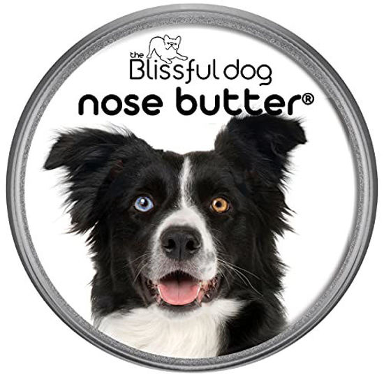 Picture of The Blissful Dog Border Collie Nose Butter, 2-Ounce