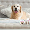 Picture of The Blissful Dog Golden Retriever Nose Butter, 2 oz Tube