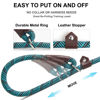 Picture of Fida Durable Slip Lead Dog Leash, 6 FT x 3/8" Heavy Duty Dog Loop Leash, Comfortable Strong Rope Slip Leash for Small Dogs and Puppies, No Pull Pet Training Leash with Highly Reflective(3/8", Blue)