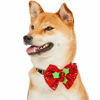 Picture of Blueberry Pet Christmas Holly Adjustable Dog Collar with Stunning Bowtie Décor, Small, Neck 12"-16"