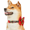 Picture of Blueberry Pet Christmas Holly Adjustable Dog Collar with Stunning Bowtie Décor, Small, Neck 12"-16"