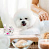 Picture of The Blissful Dog Bichon Frise Nose Butter - Dog Nose Butter, 2 Ounce