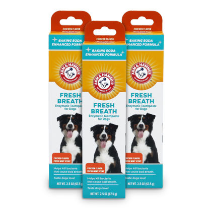 Picture of Arm & Hammer for Pets Dental Toothpaste for Dogs | No More Doggie Breath | Safe for All Dogs and Puppies | Chicken Flavor Dog Toothpaste - 2.5 Ounce - 3 Pack