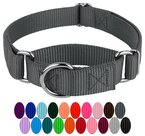 Picture of Country Brook Design - Charcoal Martingale Heavy Duty Nylon Dog Collar - 21 Vibrant Color Options (3/4 Inch Width, Small)