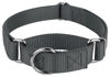 Picture of Country Brook Design - Charcoal Martingale Heavy Duty Nylon Dog Collar - 21 Vibrant Color Options (3/4 Inch Width, Small)