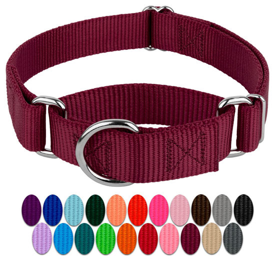 Picture of Country Brook Petz Martingale Dog Collar - Heavy-Duty Training Collar with No Buckle - Service Dog Collar for All Pups - Vibrant, Colorful Collection - Large, Burgundy