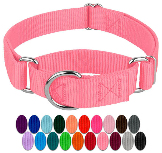 Picture of Country Brook Design - Pink Martingale Heavy Duty Nylon Dog Collar - 21 Vibrant Color Options (3/4 Inch Width, Small)