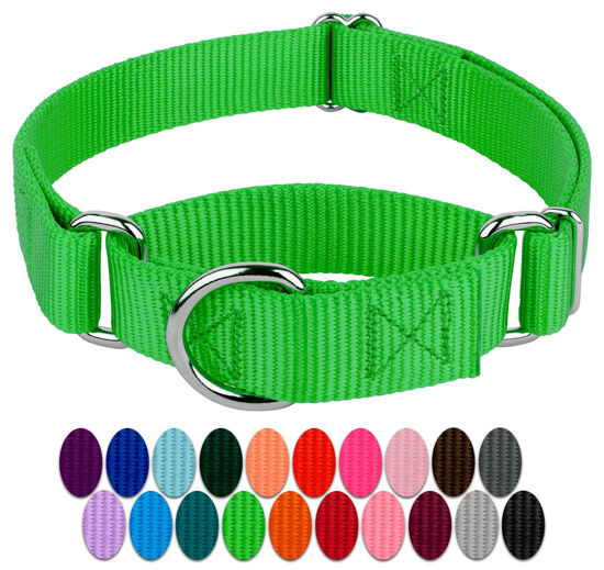 Picture of Country Brook Petz - Hot Lime Green Martingale Heavy Duty Nylon Dog Collar - 21 Vibrant Color Options (1 Inch Width, Extra Large)