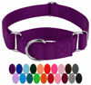 Picture of Country Brook Design - Purple Martingale Heavy Duty Nylon Dog Collar - 21 Vibrant Color Options (1 Inch Width, Large)