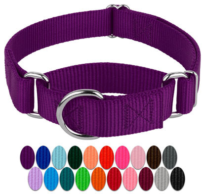 Picture of Country Brook Design - Purple Martingale Heavy Duty Nylon Dog Collar - 21 Vibrant Color Options (3/4 Inch Width, Small)