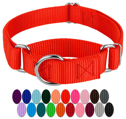 Picture of Country Brook Petz - Hot Orange Martingale Heavy Duty Nylon Dog Collar - 21 Vibrant Color Options (1 Inch Width, Extra Large)