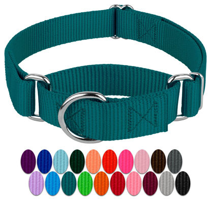 Picture of Country Brook Petz Martingale Dog Collar - Heavy-Duty Training Collar with No Buckle - Service Dog Collar for All Pups - Vibrant, Colorful Collection (Teal, 1 Inch, Medium)