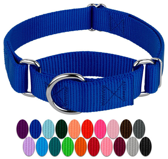 Picture of Country Brook Petz Martingale Dog Collar - Heavy-Duty Training Collar with No Buckle - Service Dog Collar for All Pups - Vibrant, Colorful Collection - Medium, Royal Blue