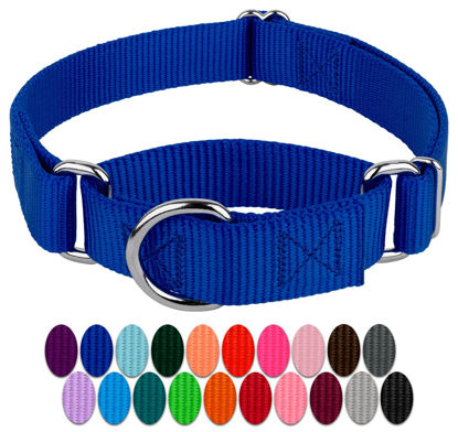 Picture of Country Brook Petz Martingale Dog Collar - Heavy-Duty Training Collar with No Buckle - Service Dog Collar for All Pups - Vibrant, Colorful Collection - Large, Royal Blue