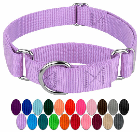 Picture of Country Brook Design - Lavender Martingale Heavyduty Nylon Dog Collar - 21 Vibrant Color Options (1 Inch Width, Large)