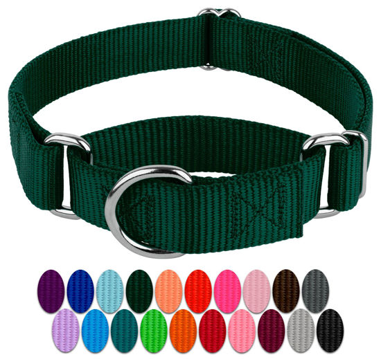 Picture of Country Brook Petz Martingale Dog Collar - Heavy-Duty Training Collar with No Buckle - Service Dog Collar for All Pups - Vibrant, Colorful Collection (Green, 3/4 Inch, Small)