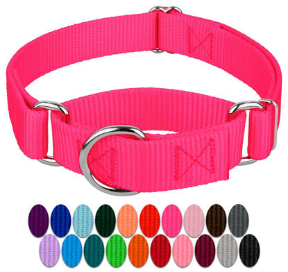 Picture of Country Brook Design - Hot Pink Martingale Heavy Duty Nylon Dog Collar - 21 Vibrant Color Options (1 Inch Width, Extra Large)