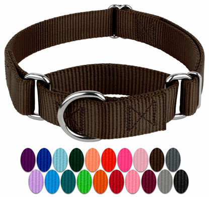 Picture of Country Brook Petz - Brown Martingale Heavy Duty Nylon Dog Collar - 21 Vibrant Color Options (1 Inch Wide. Extra Large)