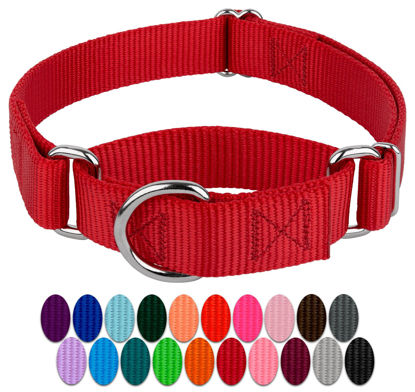 Picture of Country Brook Petz - Red Martingale Heavy Duty Nylon Dog Collar - 21 Vibrant Color Options (1 Inch Width, Extra Large)