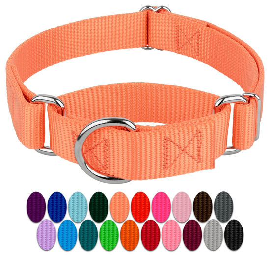 Picture of Country Brook Design - Mango Martingale Heavy Duty Nylon Dog Collar - 21 Vibrant Color Options (1 Inch Width, Medium)