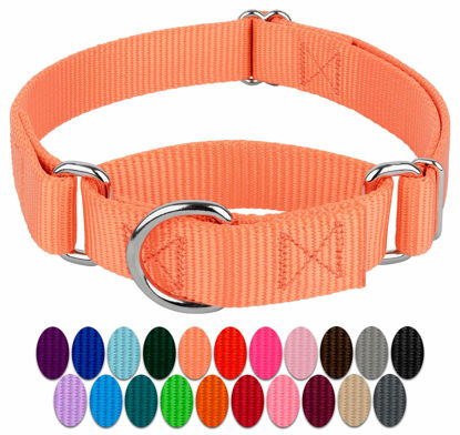 Picture of Country Brook Design - Mango Martingale Heavy Duty Nylon Dog Collar - 21 Vibrant Color Options (3/4 Inch Width, Small)