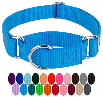 Picture of Country Brook Petz - Ice Blue Martingale Heavyduty Nylon Dog Collar - 21 Vibrant Color Options (1 Inch Width, Extra Large)