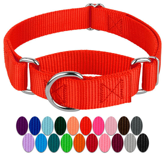 Picture of Country Brook Petz Martingale Dog Collar - Heavy-Duty Training Collar with No Buckle - Service Dog Collar for All Pups - Vibrant, Colorful Collection - Small, Hot Orange