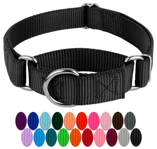 Picture of Country Brook Petz Martingale Dog Collar - Heavy-Duty Training Collar with No Buckle - Service Dog Collar for All Pups - Vibrant, Colorful Collection (Black, 1 Inch, Extra Large)