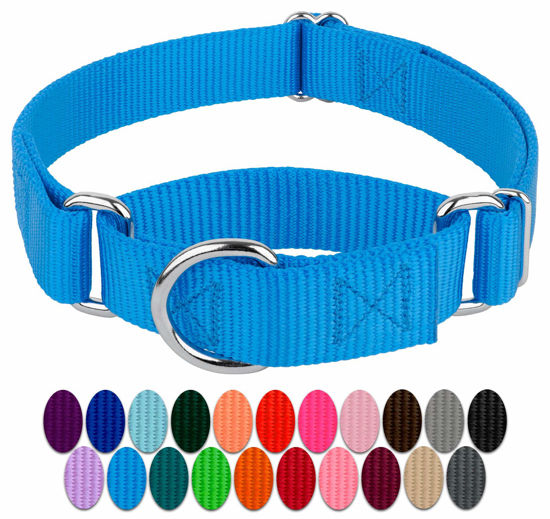 Picture of Country Brook Design - Ice Blue Martingale Heavy Duty Nylon Dog Collar - 21 Vibrant Color Options (3/4 Inch Width, Small)