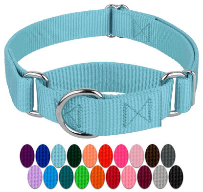 Picture of Country Brook Design - Ocean Blue Martingale Heavy Duty Nylon Dog Collar - 21 Vibrant Color Options (3/4 Inch Width, Small)