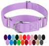 Picture of Country Brook Petz - Lavender Martingale Heavy Duty Nylon Dog Collar - 21 Vibrant Color Options (3/8 Inch Width, Extra Small)