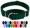 Picture of Country Brook Petz - Green Martingale Heavy Duty Nylon Dog Collar - 21 Vibrant Color Options (3/8 Inch Width, Extra Small)