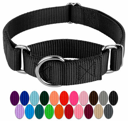 Picture of Country Brook Petz - Black Martingale Heavy Duty Nylon Dog Collar - 21 Vibrant Color Options (3/8 Inch Width, Micro)